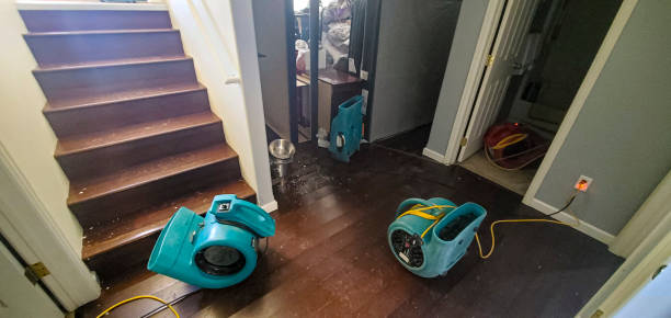 Best Mold removal after water damage  in White Haven, PA