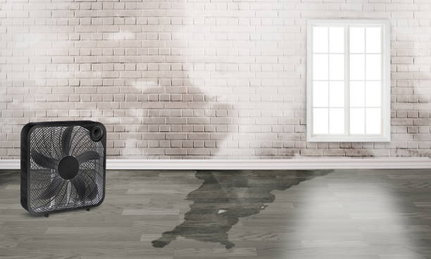 Best 24/7 water damage repair  in White Haven, PA
