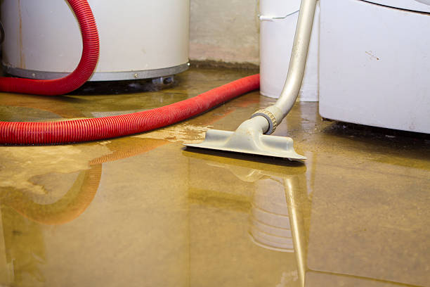 Best Flood damage cleanup  in White Haven, PA