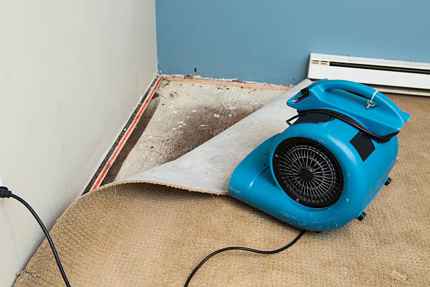 Best Commercial water damage restoration  in White Haven, PA